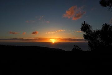La liberté au bord de l'Atlantique  Le Fishermen's Trail - des falaises dorées, une mer d'un bleu profond et des étendues sans fin.