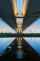 Calatrava (Harp) after sunset