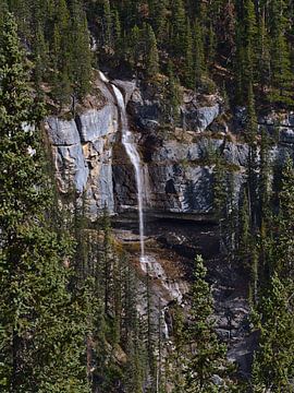 Waterval in de Canadese wildernis van Timon Schneider