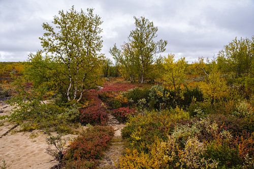 L'automne dans le Grand Nord