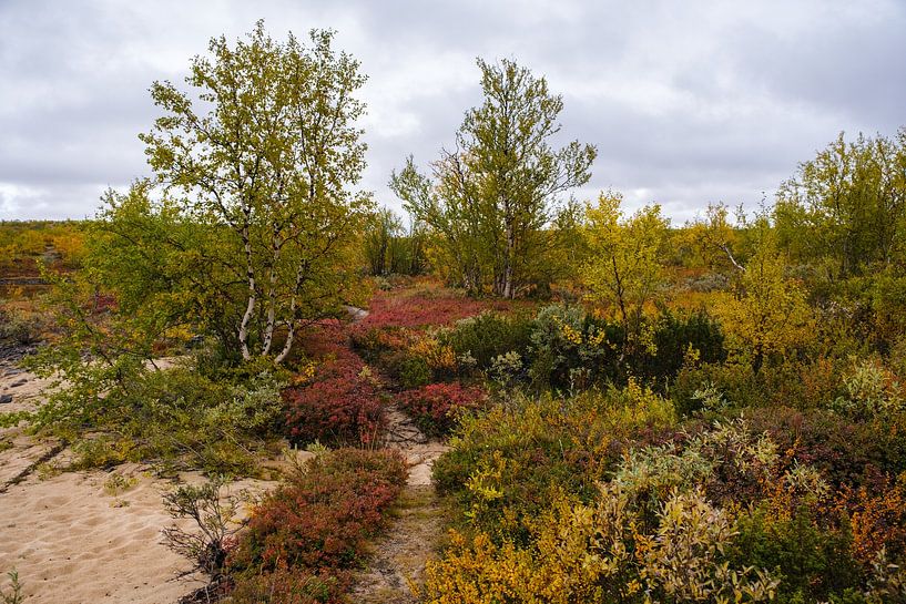 L'automne dans le Grand Nord par Joke Beers-Blom