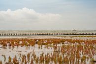 Waddenzee Ameland par Margreet Frowijn Aperçu