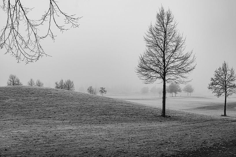 Green in zachtwit van Onbegonnen werk