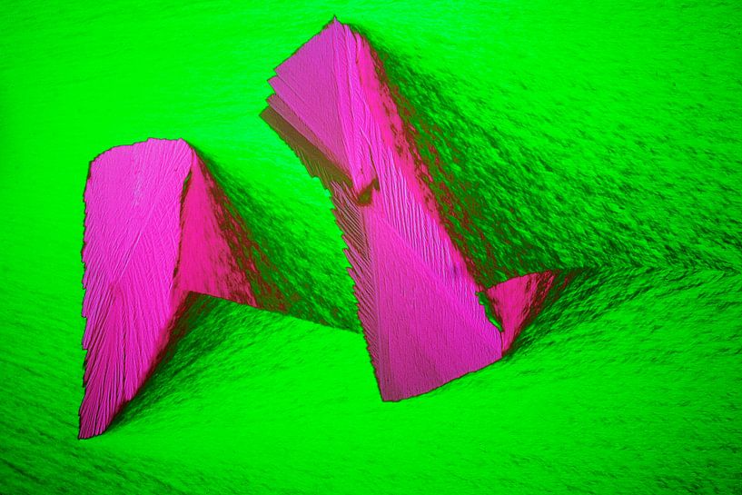 Nicotinamide by André Wieringa