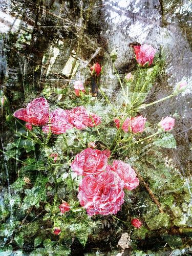 FlowerPower Fantasy 2