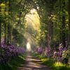 Weg durch die blühenden Rhododendren von Edwin Mooijaart