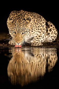 Alleinerziehende Mutter