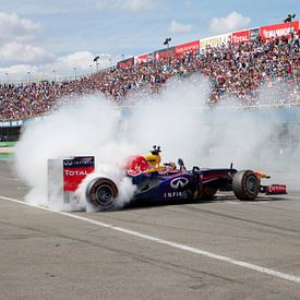 Formule 1 burnout! van Thijs Schouten