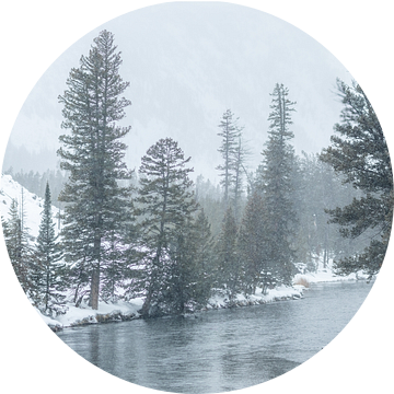 Winterse rivier door Yellowstone van Sjaak den Breeje