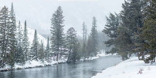 Winterse rivier door Yellowstone