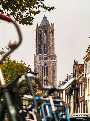 De Dom Uit Haar Jas In De Herfst