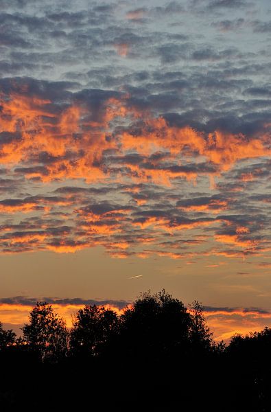 Bewölkter Sonnenuntergang über den Bäumen von Txell Alarcon
