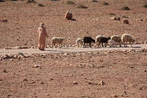 Marokkaanse herder in Atlasgebergte