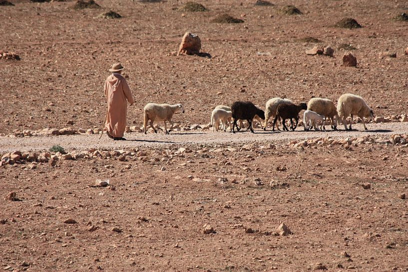 Marokkaanse herder in Atlasgebergte van Simone Meijer