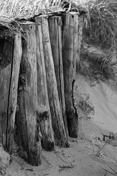 Poteaux en bois (clôture) dans les dunes de Hollande du Nord, noir et blanc sur Bram Lubbers