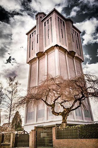 The giant and a Bonsai.
