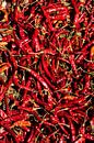 Red peppers by Ton Bijvank thumbnail