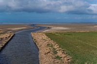 Wadden area at the Black Rooster