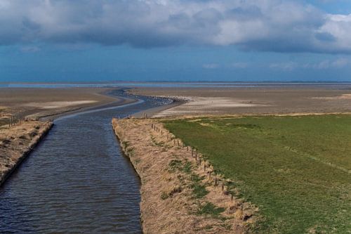 Waddengebied bij de Zwarte Haan