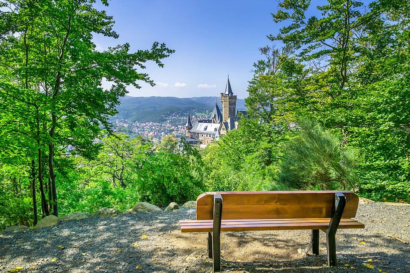Uitzicht op kasteel Wernigerode vanaf de Agnesberg van Melanie Viola