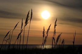 Baltic Sea in the evening by Thomas Jäger