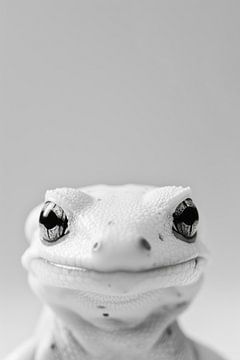 Salamander van Poster Art Shop