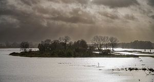 IJssel Herbstmorgenlicht mit hohem Wasserstand bei Zwolle