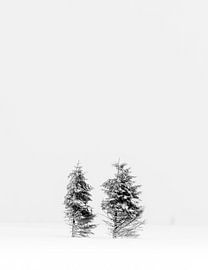 Winter Hoge Venen von Steven Hendrix