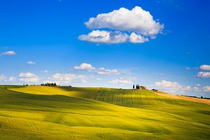 Ländliche Landschaft im Val d'Orcia