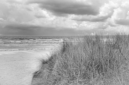 Uitzicht over het strand op Usedom met duinen aan de ene kant en de Baltische Zee aan de andere, in zwart-wit