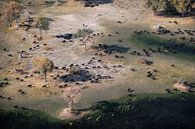 Okavangodelta von paul snijders Miniaturansicht