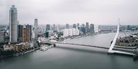 Minimalist photo of Rotterdam skyline