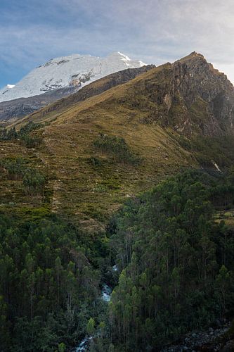 Snow-capped Andes peak above verdant forest