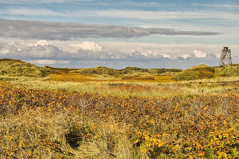 Blåvand duinlandschap in Denemarken aan de Noordzee van Martin Köbsch