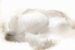 Tenderness