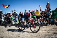 Dylan van Baarle wins Paris - Roubaix by Leon van Bon thumbnail