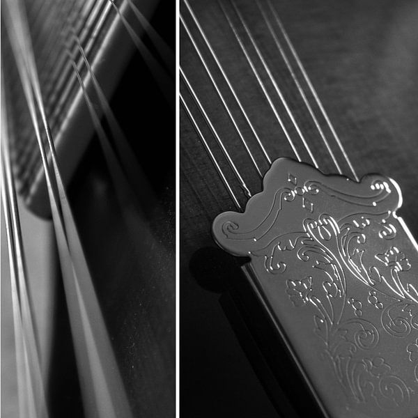 Mandoline Combi 01 Schwarz/Weiß | Bild von Yvonne Warmerdam