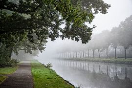 De vliet in mist gehuld van Michel Groen