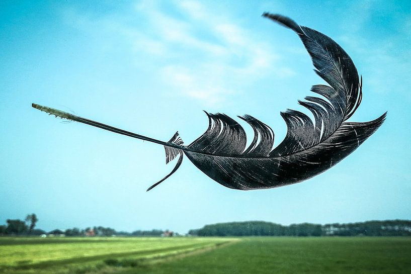 Veer in de wind par Wybrich Warns