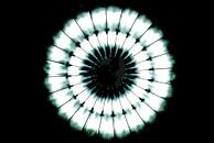 De cirkel van licht van Norbert Sülzner thumbnail