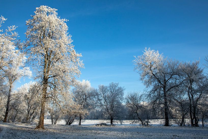 Winterlandschap van t.ART