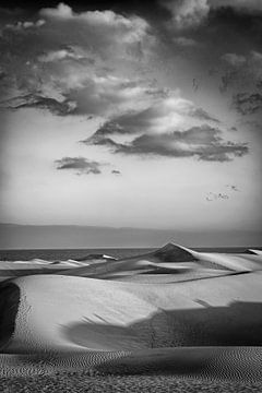Dunas de Maspalomas van Humphry Jacobs