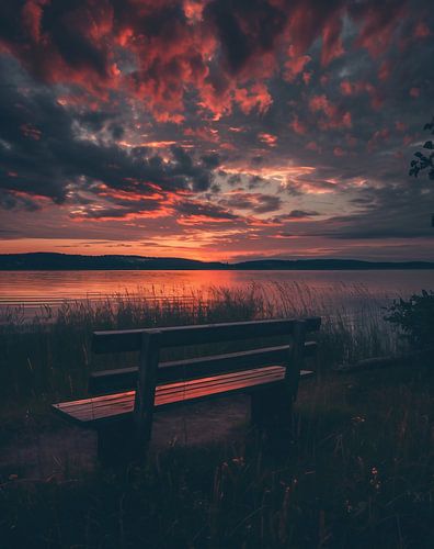 Bench in the morning light