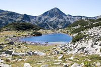 Vache au bord d'un lac de montagne