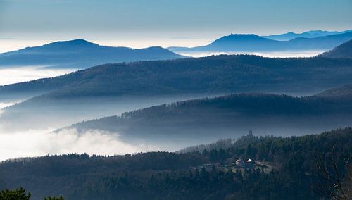 Ambiance brumeuse dans les Vosges