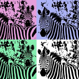 Zebra im PopArt-Stil von C. Wold
