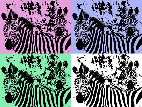 Zebra in PopArt style