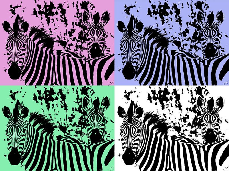 Zebra in PopArt style by C. Wold