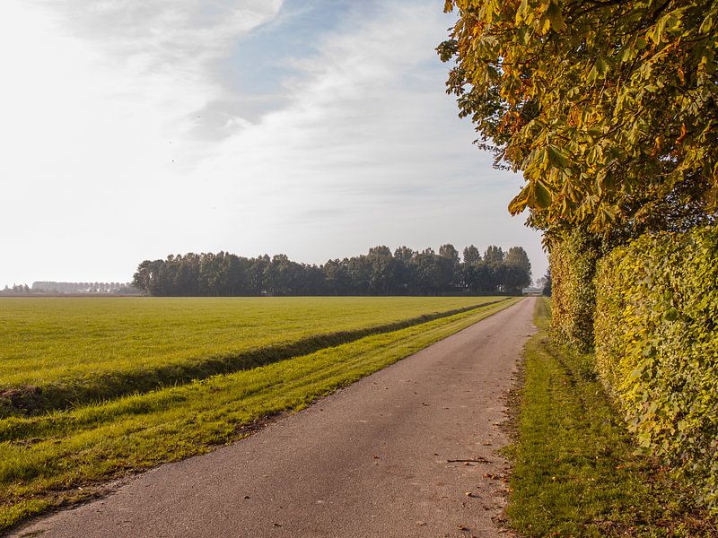 Herfstochtend by Rinke Velds