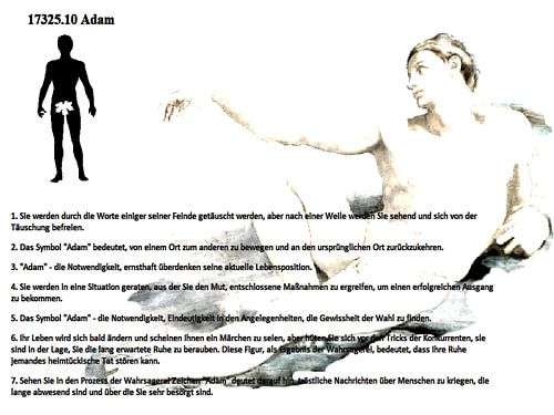 Adam 17325.10